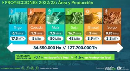 La campaña 2022/23 resgistrará un retroceso en área sembrada y produccción