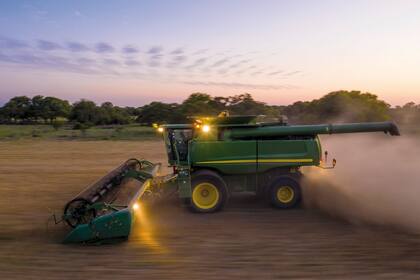 La campaña 21/22 en la Argentina alcanzó un récord de producción de 21,8 millones de toneladas, pero el año próximo se reducirá la superficie cultivada