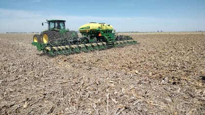 La campaña avanza en la medida que se abren oportunidades para sembrar