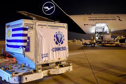 La campaña de vacunación fue uno de los requisitos que el gobierno nacional puso para que se juegue la Copa América en el país; pese a las gestiones de la Conmebol, los tiempos se acortaron y las posibilidades se esfumaron