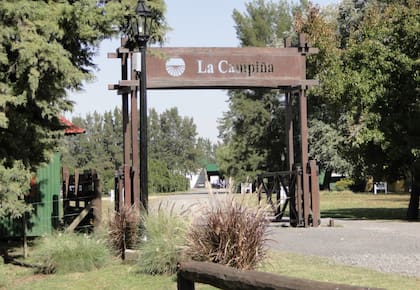 La Campiña nació en 1979 con solo 12 hectáreas y 4000 plantas de naranjas