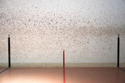 La cancha de pelota paleta del Club Belgrano, inaugurada en 1920, es uno de los espacios deportivos más antiguos de la institución. Durante más de un siglo, ha sido escenario de entrenamientos, competencias y encuentros intergeneracionales entre socios