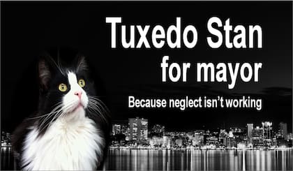 La candidatura de Tuxedo Stan sirvió para concientizar sobre la creciente población de gatos callejeros en Halifax