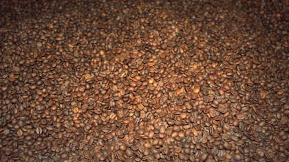 La canela, cúrcuma, jengibre, nuez moscada y pimienta negra son especias que maridan muy bien con el café