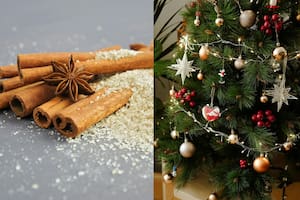 El ritual de la canela que practica en Navidad para alejar la energía negativa