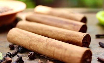 La canela proviene de la corteza de distintos árboles del género Cinnamomum y puede adquirirse en polvo o en ramas