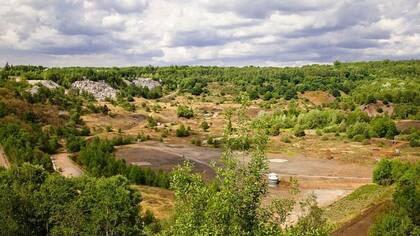 La cantera de Messel, en Alemania, ha producido estraordinarios especímenes fosilizados