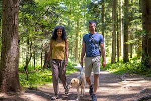 La cantidad de caminatas semanales para estar saludables ha disminuido según un reciente estudio