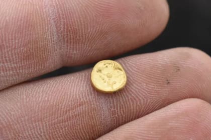 La cantidad de metales preciosos evidencia el desconocimiento por esta metrópolis