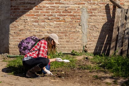 La cantidad de muestras depende del tamaño del basural y del financiamiento.