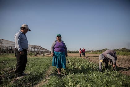 La cantidad de población migrante se mantiene estable