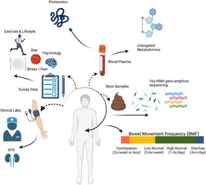 La cantidad de veces que se va al baño por día está directamente relacionada con la salud