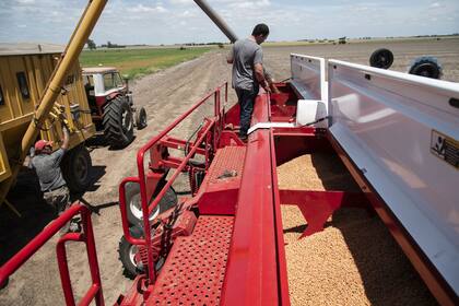 La importación de rodamientos para maquinarias agrícolas está restringida