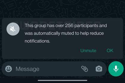 La captura de pantalla que muestra cómo se silenciarán las notificaciones en forma automática de grupos de chat con más de 256 participantes