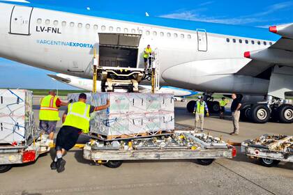 La carga de las vacunas de Moderna con destino a la Argentina en el aeropuerto de Memphis, en EE. UU.