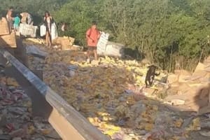 Un camión con polenta volcó en el Camino del Buen Ayre