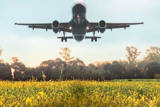 El millonario mercado que puede levantar vuelvo para la agricultura