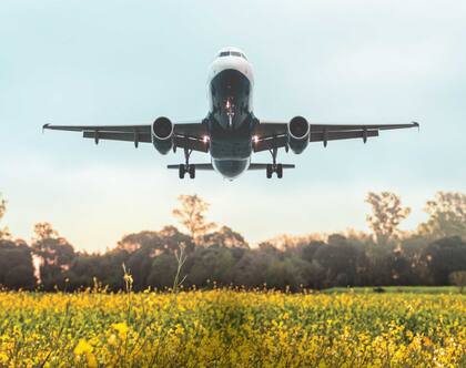 La carinata puede expandir la frontera agrícola por su uso como biocombustible para los aviones
