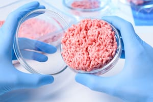 Carne: Inocuidad, calidad y los nuevos desafíos que llegan desde el laboratorio