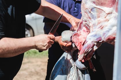 La carne ovina es un producto de gran importancia en la Patagonia