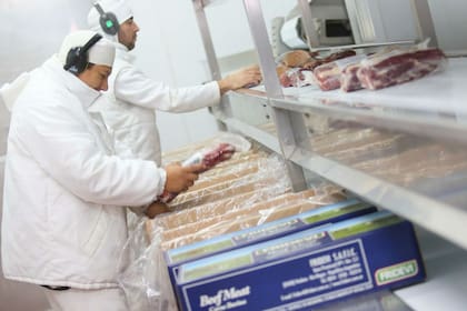 Carne preparándose para la exportación