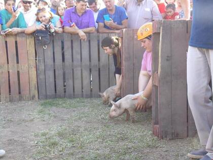 La carrera generó expectativas