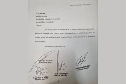 La carta del bloque de LLA que informa la expulsión de Francisco Paoltroni