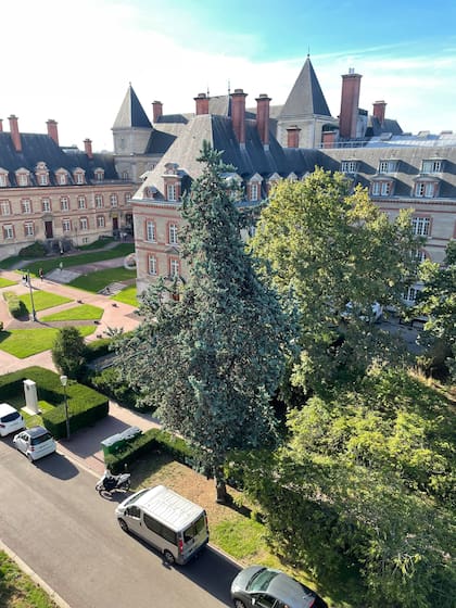La Casa Argentina es uno de los edificios que componen el campus universitario, un sitio privilegiado para los estudiantes rodeado de espacios verdes