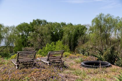 La casa cuenta con un techo verde que optimiza el aislamiento térmico