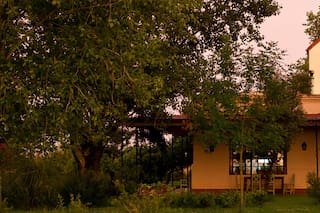 Una casa de 1850 en San Antonio de Areco, hogar de una diseñadora de vanguardia