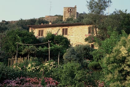 La casa de Botero cuenta con dos pisos con fachada color terracota y un bosque de olivos adyacente. 