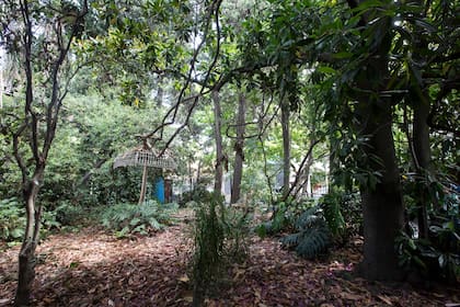 El parque de la casa de Santos Lugares