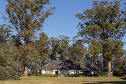 La casa de la estancia Ave María se incorpora al campoo con toques provenzales.