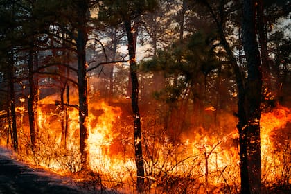 La casa del actor fue incendiada durante la catástrofe que azotó a California, lo que habría empeorado su estado psicológico
