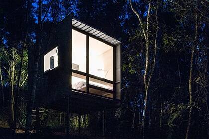 La casa del árbol de diseñada por la Arquitecta Silvia Acar