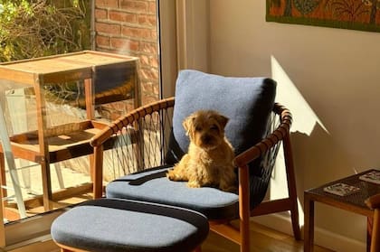 La casa en Buenos Aires ya no está vacía y Bertil siente que en Argentina halló hogar.