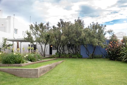 La casa está mimetizada con los tamariscos ‘Pink Cascade’ y la pared azul.