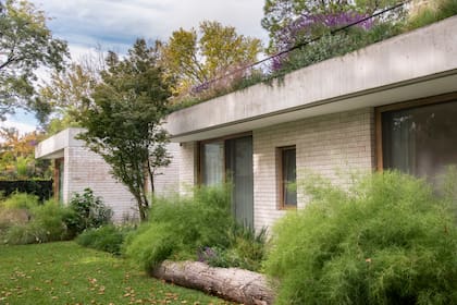 La casa está totalmente rodeada de plantas, incluso arriba.