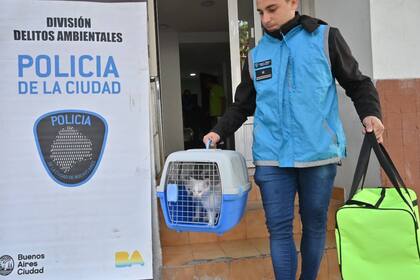 La casa estaba llena de basura y había un olor nauseabundo