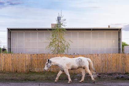 La casa ganó el premio a “Mejor Vivienda Unifamiliar” en la Bienal Internacional de Arquitectura de Buenos Aires 2024.
