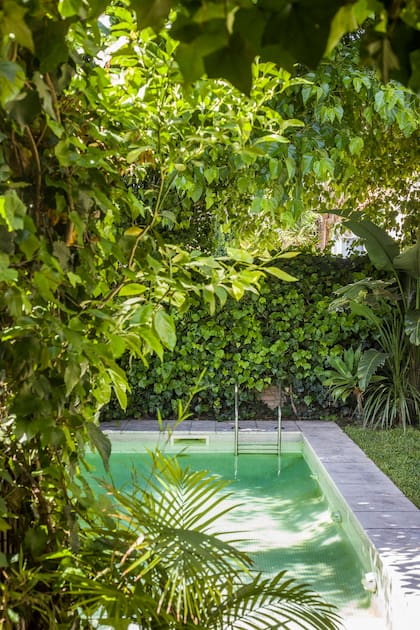 La Casa Kurchan en Martínez de Gaby Candioti logra mimetizarse con la vegetación circundante