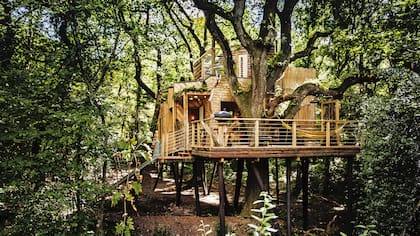 Sin desmerecer lo que viene en el interior, a Mallinson le encanta ver cómo la gente se tira por el tobogán que agregaron.