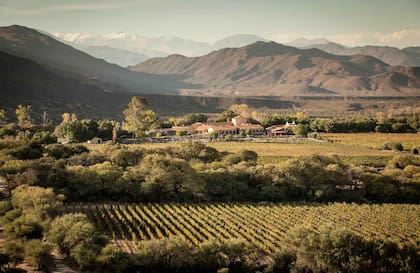 La casa principal de Bodega Colomé en Salta que funciona como casa de huéspedes.