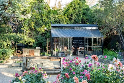 La casa-vivero La Flor Azul