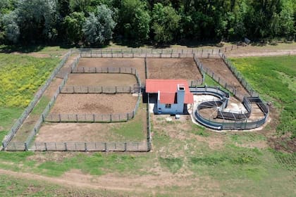 La Cassina es un campo de 5400 hectáreas en el partido de Guaminí, cercano a la laguna de Cochicó