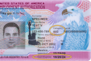 Cómo pedir el permiso de trabajo mientras esperas la green card
