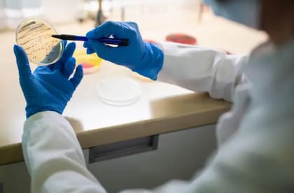 La causa de la crisis de la resistencia a los antibióticos se suele atribuir al mal uso y al uso excesivo de antimicrobianos en humanos, animales y plantas (Foto: BBC)