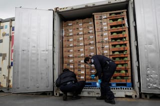 Declararon que cruzaban la frontera con azulejos, pero agentes de la CBP descubrieron la verdad