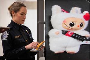 Quisieron pasar sus Labubu de US$513.937 por Seattle, pero a la CBP algo le llamó la atención