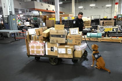 La CBP ejecutó la incautación el 26 de marzo en el Peace Bridge